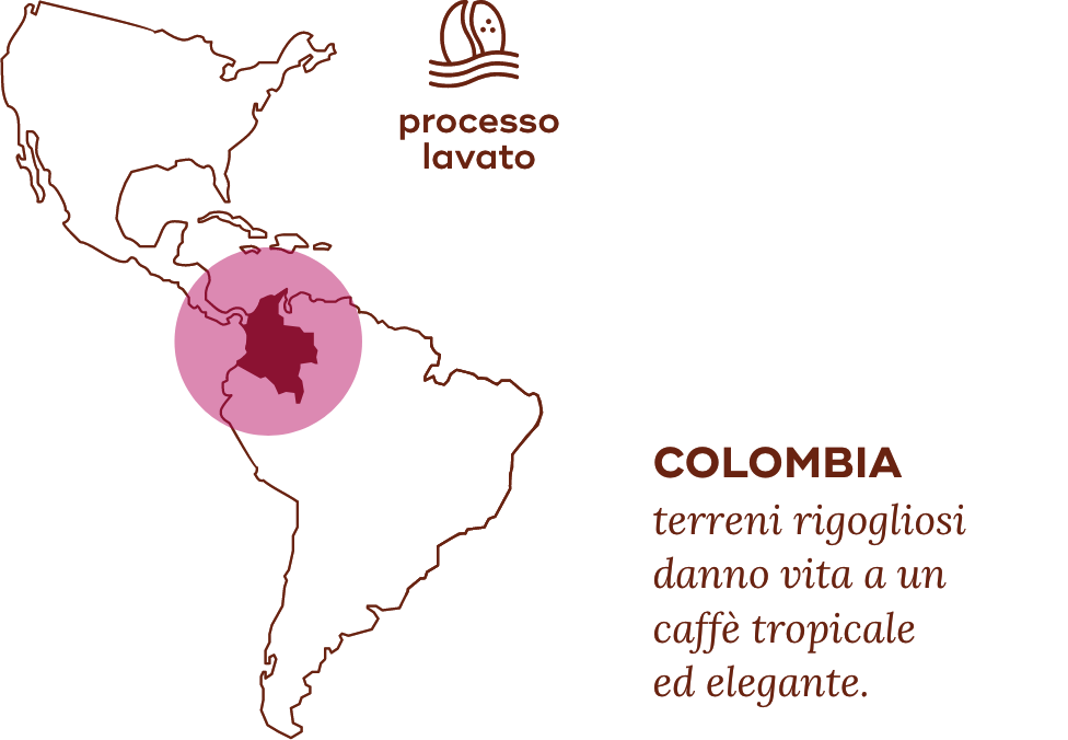 Mappa della Colombia con caffè tropicale ed elegante.