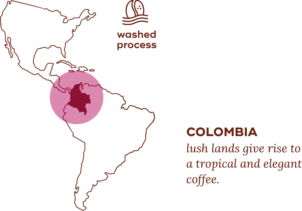 Map highlighting Colombian coffee region and process.