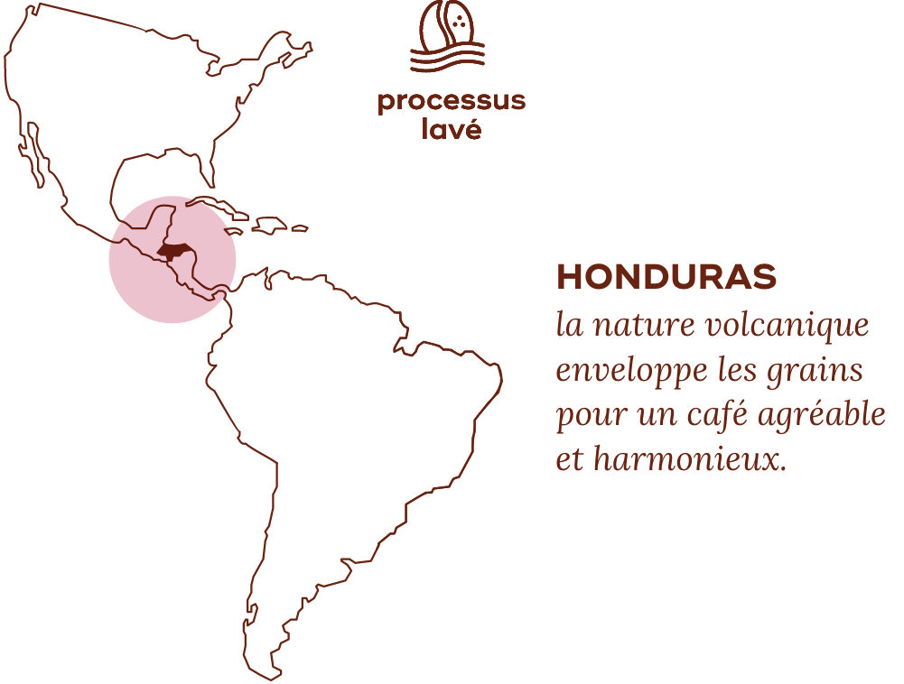 Carte du café hondurien, processus lavé.