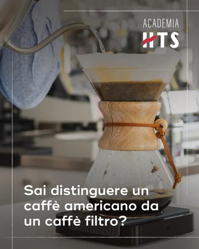 Non basta l’aspetto per capire davvero cosa c’è in tazza.
Conoscere le differenze tra un caffè filtro e un americano è solo l’inizio di un percorso che unisce tecnica, cultura e sensibilità gustativa.

I nostri corsi accompagnano professionisti e appassionati nell’approfondimento dell’espresso e dei metodi di estrazione alternativi, per vivere il caffè in tutte le sue forme.

🔍 Scopri tutti i corsi su academiahts.it

#Hausbrandt #AcademiaHTS