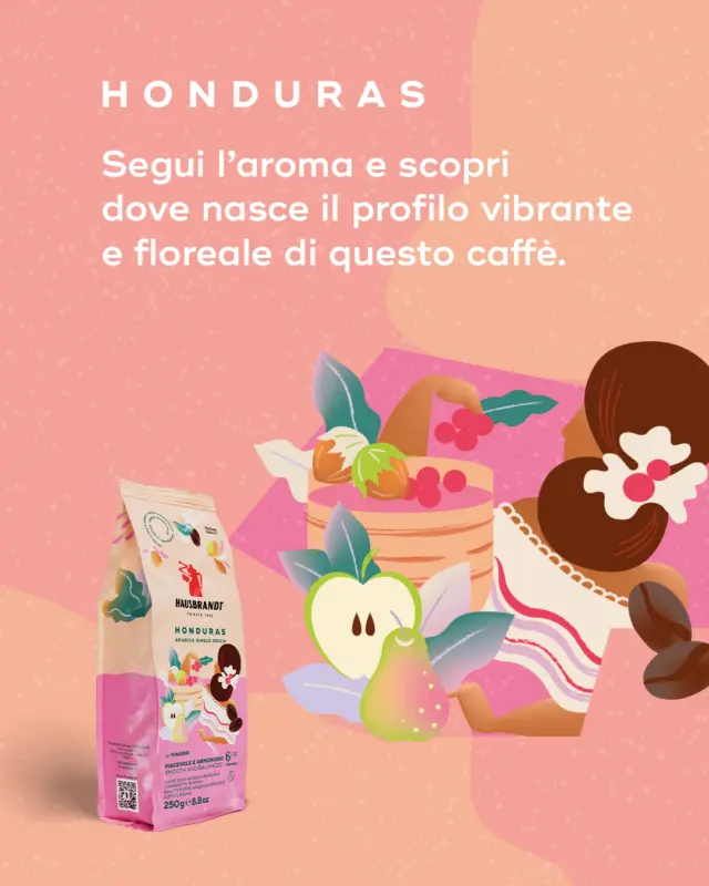 Ci sono aromi che portano lontano, fino alle alture più incontaminate.
Honduras è una storia fatta di luce tropicale, piogge generose e gesti sapienti.
Un equilibrio naturale che nasce nella terra e si ritrova in tazza, tra note fragranti e delicate sfumature.

Sfiora il carosello e scopri dove prende forma il suo profilo vibrante.

#Hausbrandt #Honduras #Monorigine #ViaggioNelGusto #CoffeeLovers #CulturaDelCaffè