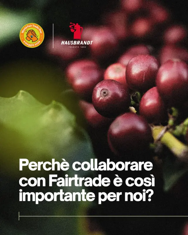 Oggi è la Giornata Mondiale del Fair Trade 🌱

Un’occasione per valorizzare scelte più giuste, trasparenti e concretamente utili a coloro che rendono possibile ogni tazzina.

@fairtrade.it 

#Fairtrade #FilieraResponsabile #Fairègiusto #HausbrandtCaffè