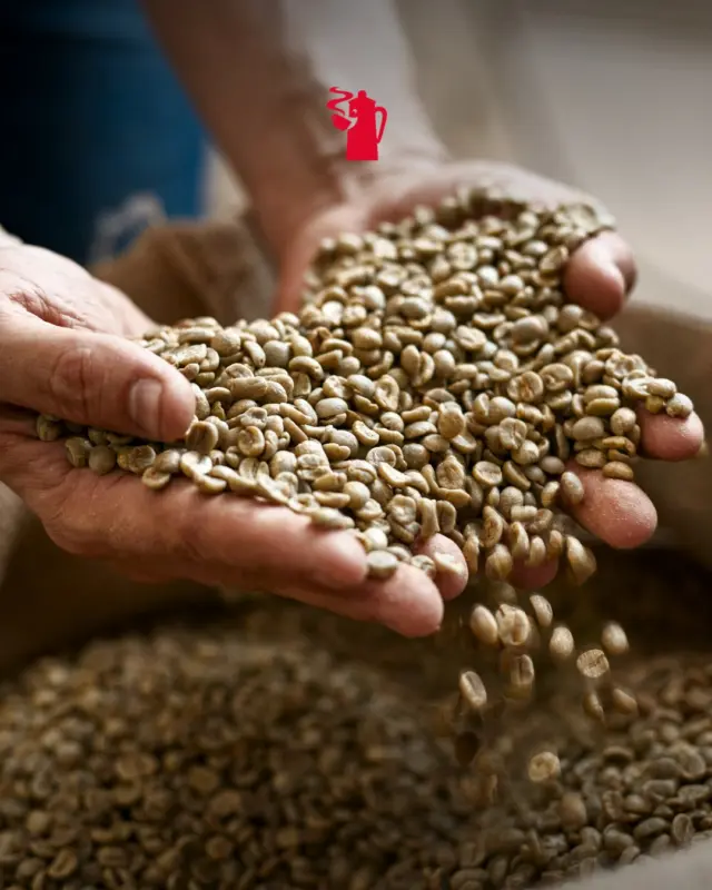 Dietro ogni caffè c’è una scelta attenta, di chicco in chicco 🔎

Hausbrandt, dal 1892 l’arte di selezionare solo il caffè migliore.

#CoffeeArtisan #ItalianCoffeeQuality #QualitySince1892 #HausbrandtCaffè